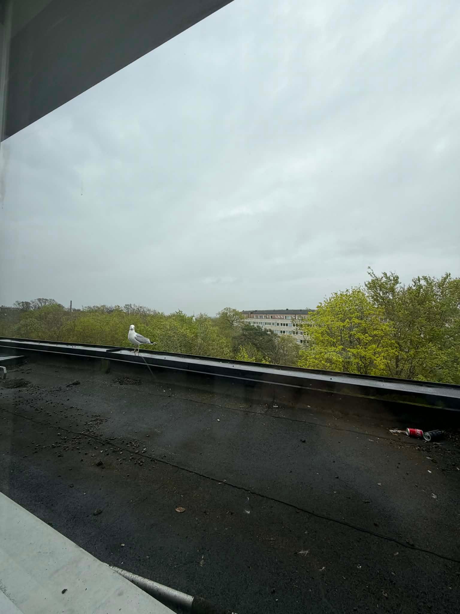1-rum lägenhet i Karlskrona, Kungsmarksvägen - bild 1 1-rum lägenhet i Karlskrona, Kungsmarksvägen - bild 1