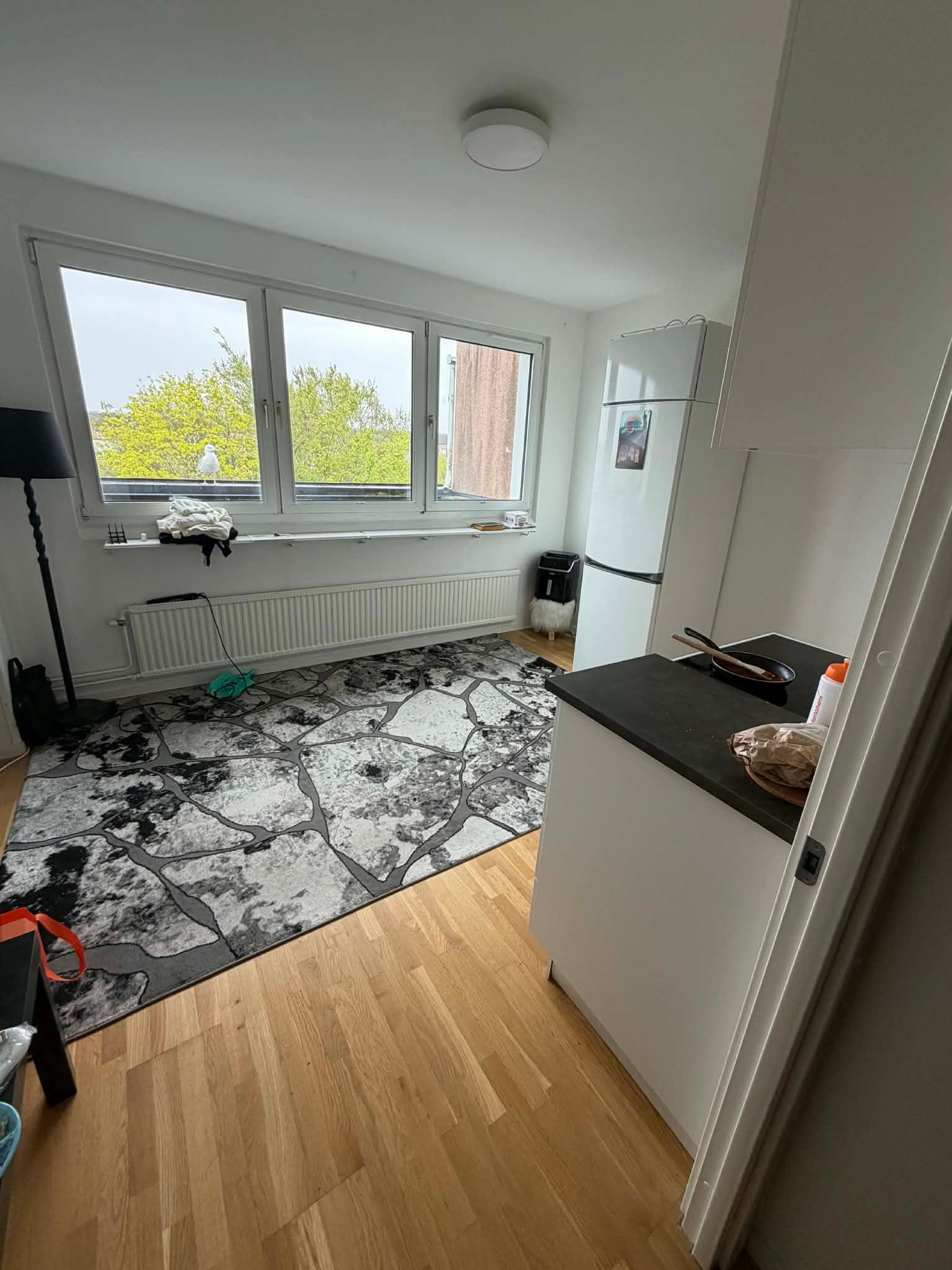 1-rum lägenhet i Karlskrona, Kungsmarksvägen - bild 3 1-rum lägenhet i Karlskrona, Kungsmarksvägen - bild 3